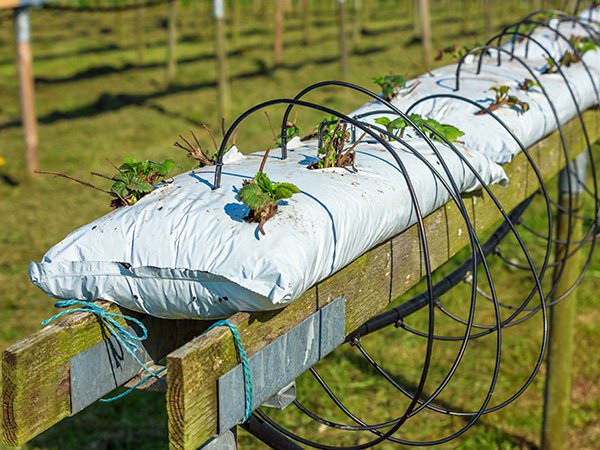 Zazimovani_zavlahovych_systemu